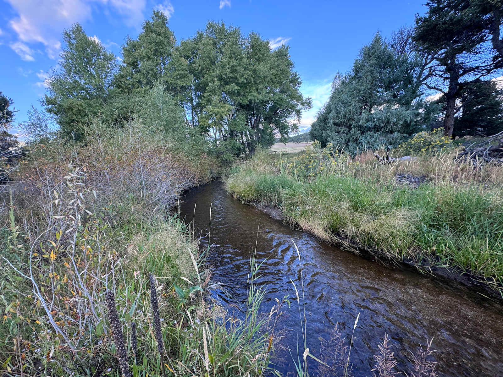 Here Below Ranch - Salida, Colorado - glamping.directory