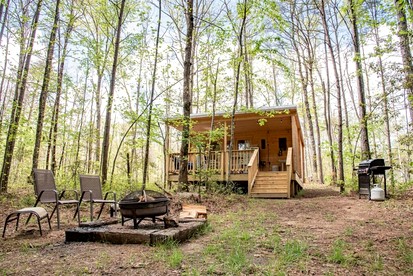 Cozy Scandinavian Cabin with EV Charging on 18-Acre Forest Retreat Near The Caverns & Waterfalls, Coalmont, TN - glamping.directory