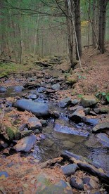 Rustic Pet-Friendly Bliss: Cabin Retreat in the White Mountains, NH - Bath, New Hampshire - glamping.directory