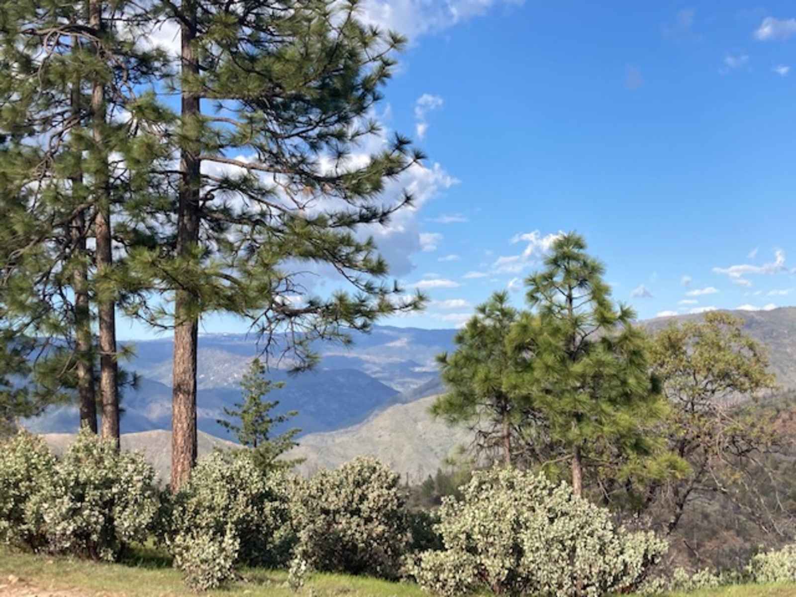 El Captain’s View 4X4 ONLY Yosemite - El Portal, California - glamping.directory
