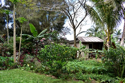 Unique Vacation Rental with Outdoor Bath in North Kohala, Hawaii - Hawi, Hawaii - glamping.directory