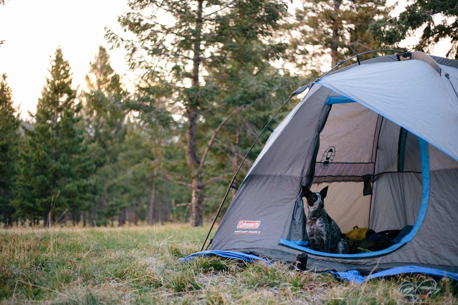 CampCHERIshed-Camp for a Cause! - Sedalia, Colorado - glamping.directory