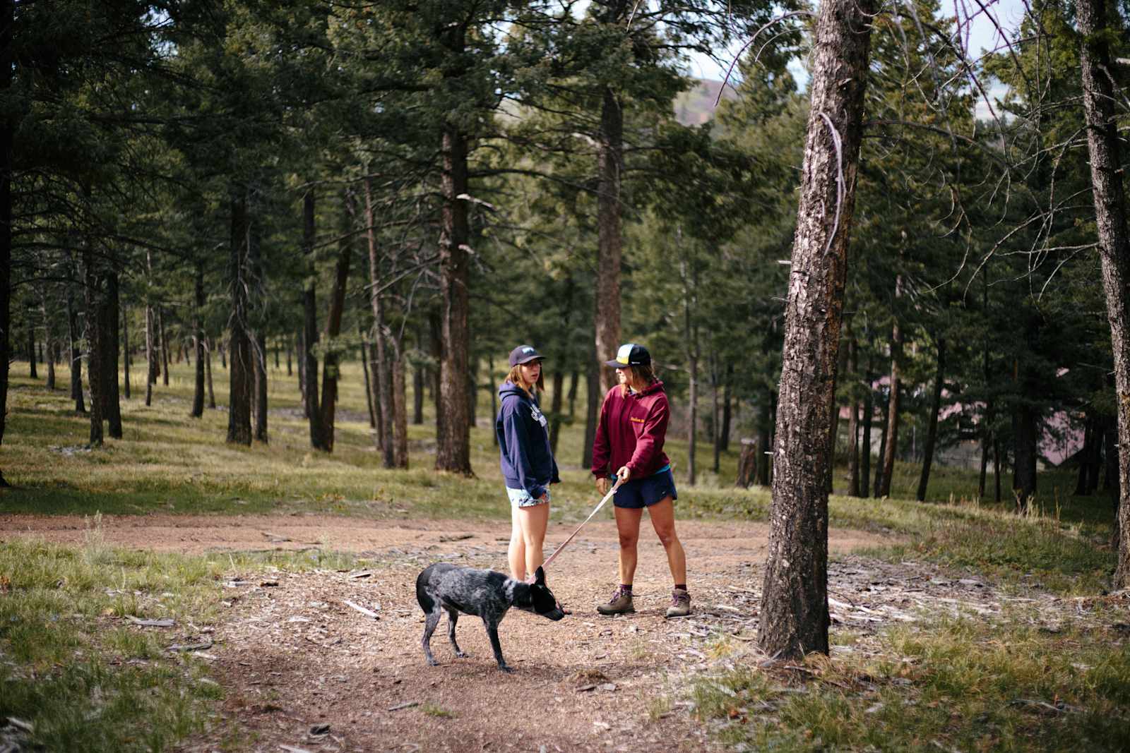 CampCHERIshed-Camp for a Cause! - Sedalia, Colorado - glamping.directory