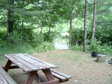 Lovely Cottage Getaway in the Mountains near Phoenicia, New York - Chichester, New York - glamping.directory
