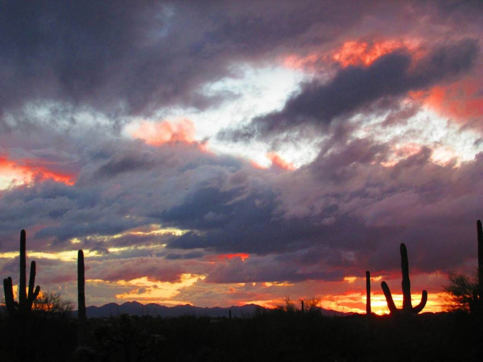 Hopwood Homestead - Drexel Heights, Arizona - glamping.directory