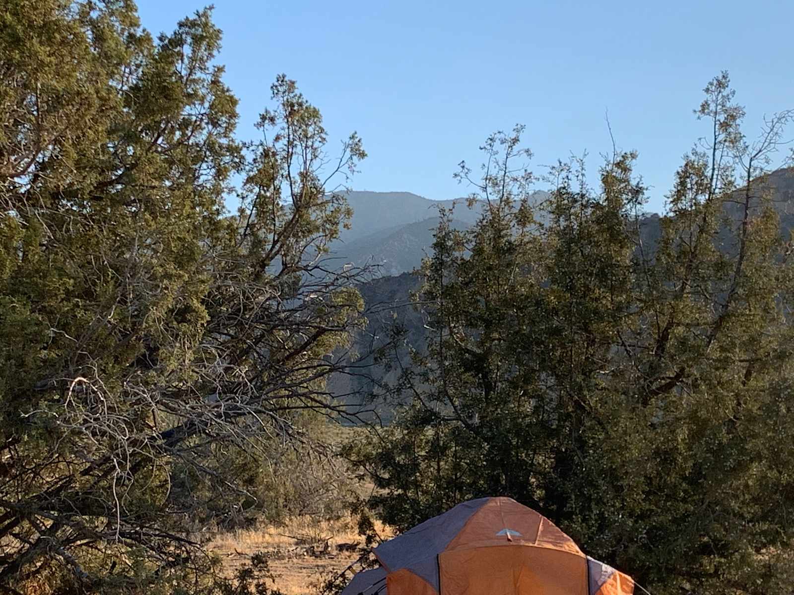 Campsite 1 - Maricopa, California - glamping.directory