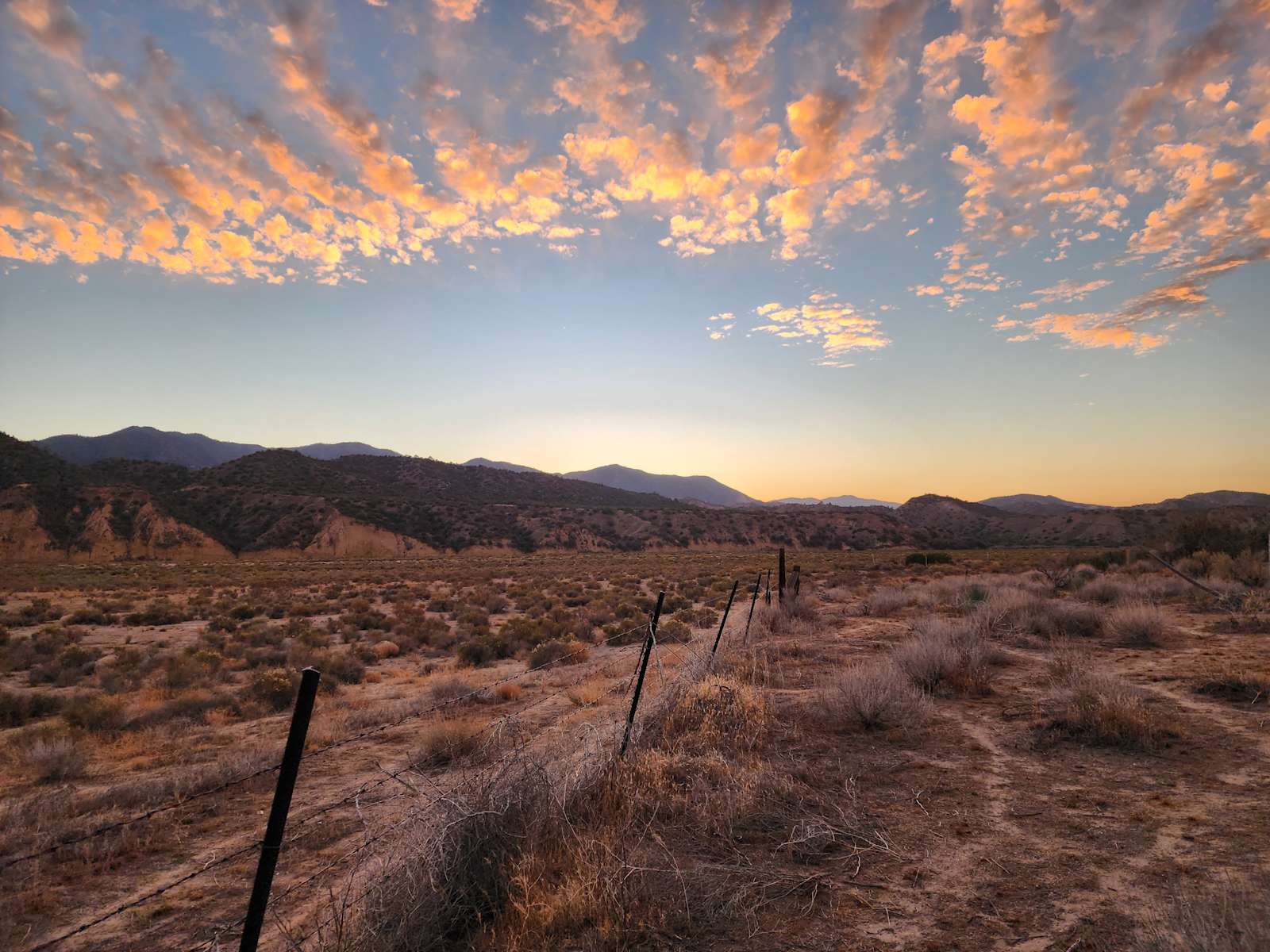 Campsite 1 - Maricopa, California - glamping.directory