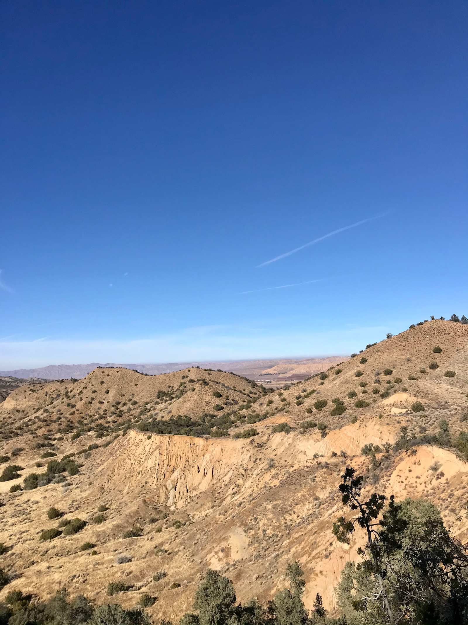 Campsite 1 - Maricopa, California - glamping.directory