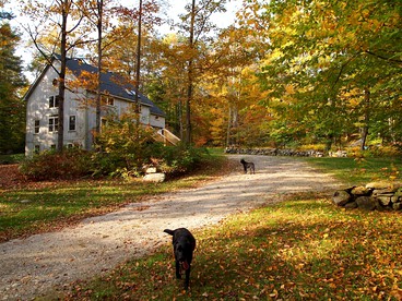 Modern and Family-Friendly Vacation Rental in the Berkshires near Great Barrington - Monterey, Massachusetts - glamping.directory