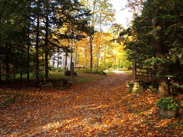 Modern and Family-Friendly Vacation Rental in the Berkshires near Great Barrington - Monterey, Massachusetts - glamping.directory