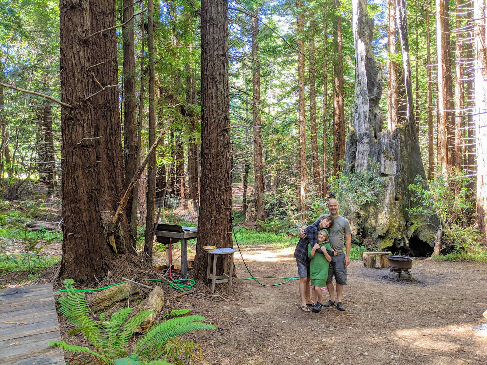 Baby Banana Slug Farm - glamping.directory