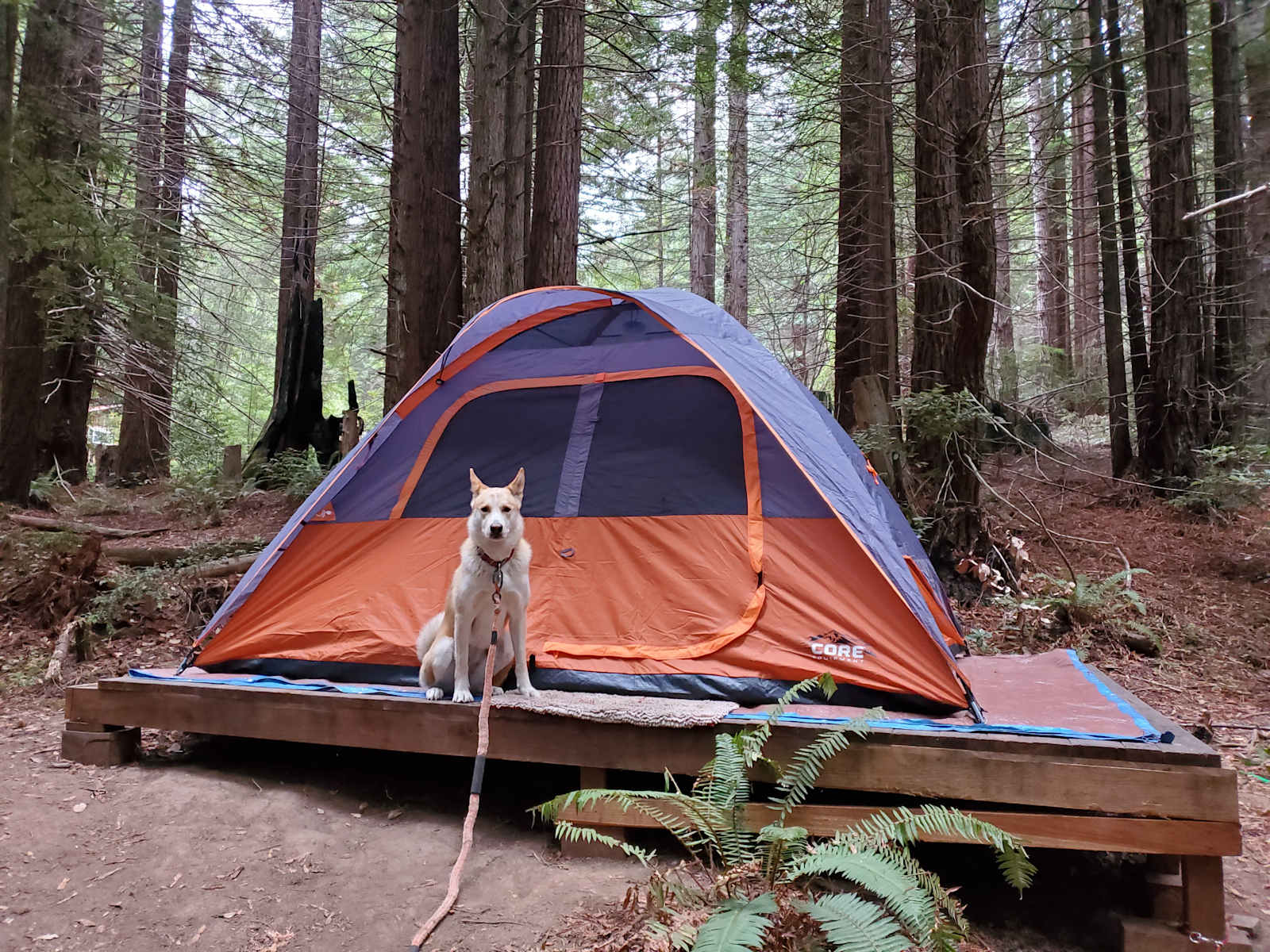 Baby Banana Slug Farm - Albion, California - glamping.directory