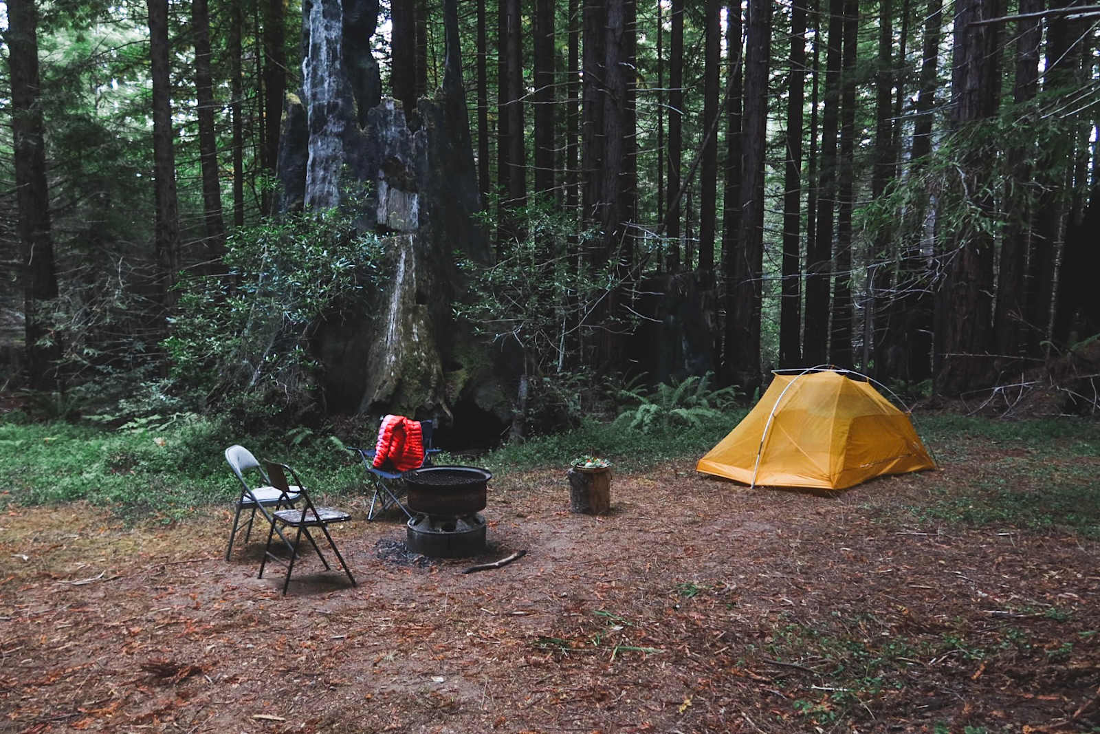 Baby Banana Slug Farm - Albion, California - glamping.directory
