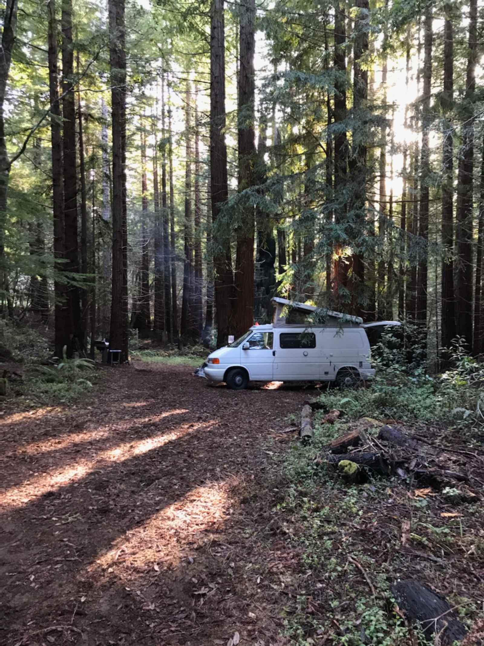 Baby Banana Slug Farm - Albion, California - glamping.directory
