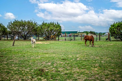 Charming Riverside Cabin Escape with Outdoor Relaxation Spaces in Medina, Texas - Medina, Texas - glamping.directory