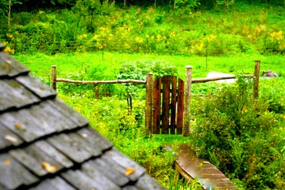 Rustic Norwegian-Style Log Cabin Rental near the Upper Iowa River in Decorah, Iowa - Decorah, Iowa - glamping.directory