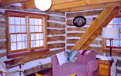 Rustic Norwegian-Style Log Cabin Rental near the Upper Iowa River in Decorah, Iowa - Decorah, Iowa - glamping.directory