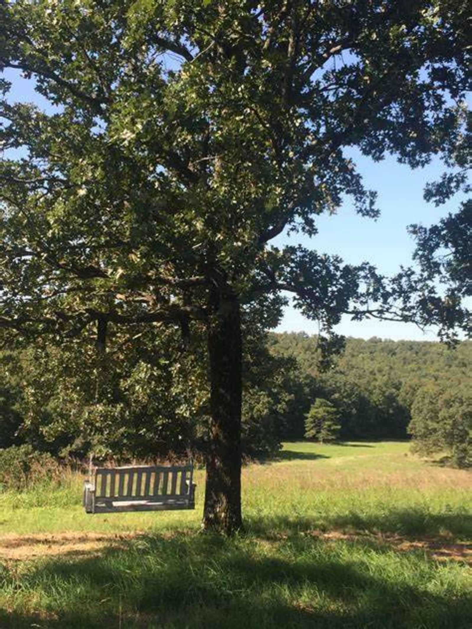 Indian Lakes Resort - Austin, Arkansas - glamping.directory