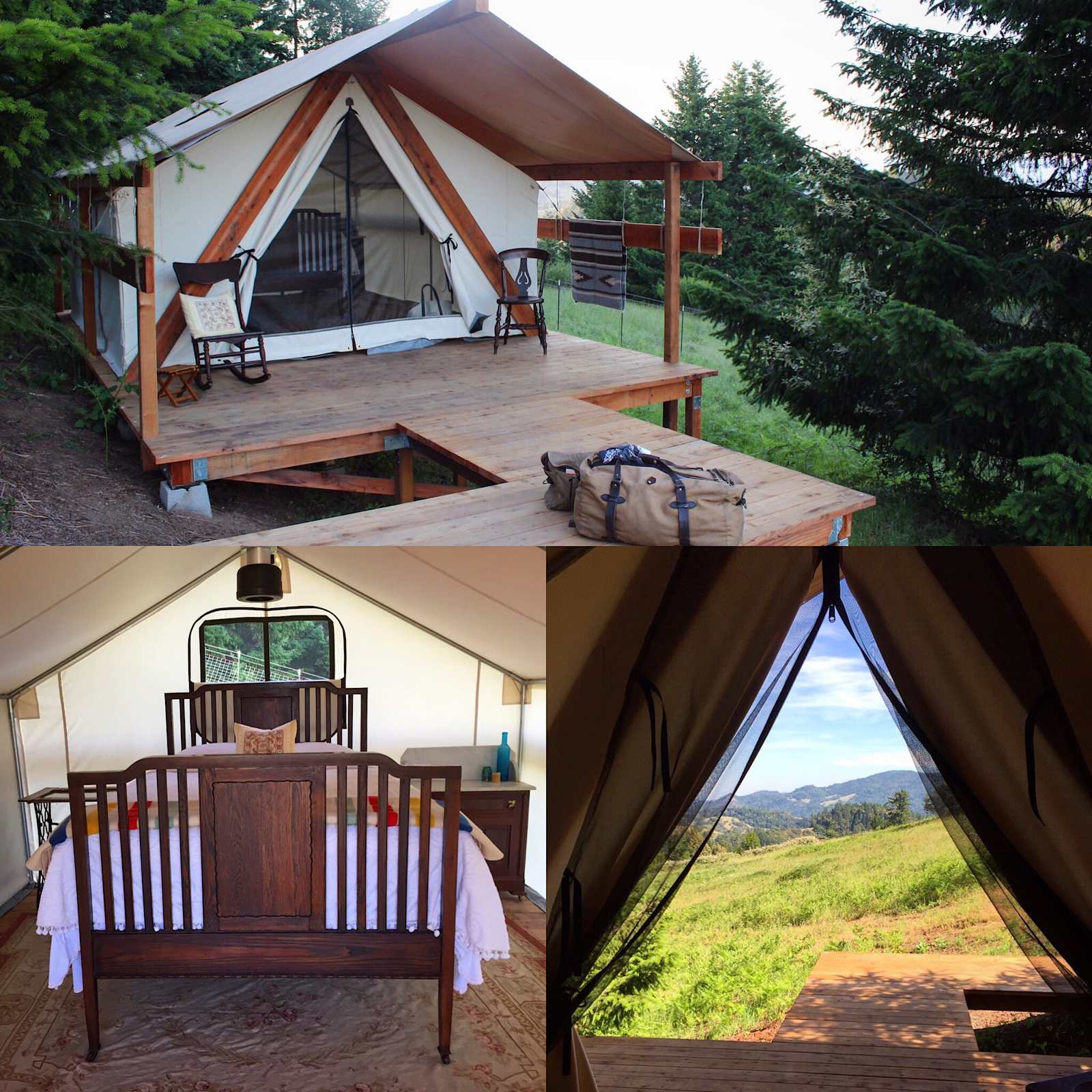Running Springs Ranch Lavender 💜 - Ukiah, California - glamping.directory