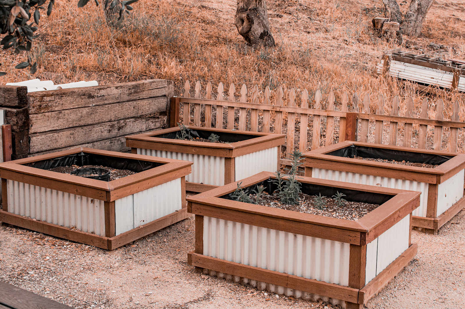Camp Arroyo Grande - Arroyo Grande, California - glamping.directory