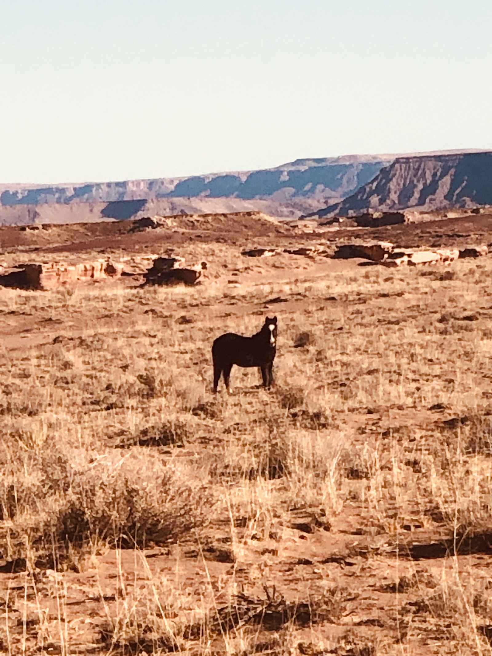 Painted Desert Outpost - Flagstaff, Arizona - glamping.directory