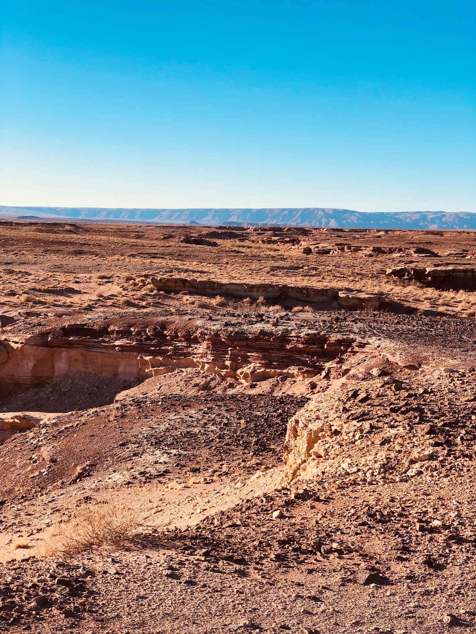 Painted Desert Outpost - Flagstaff, Arizona - glamping.directory