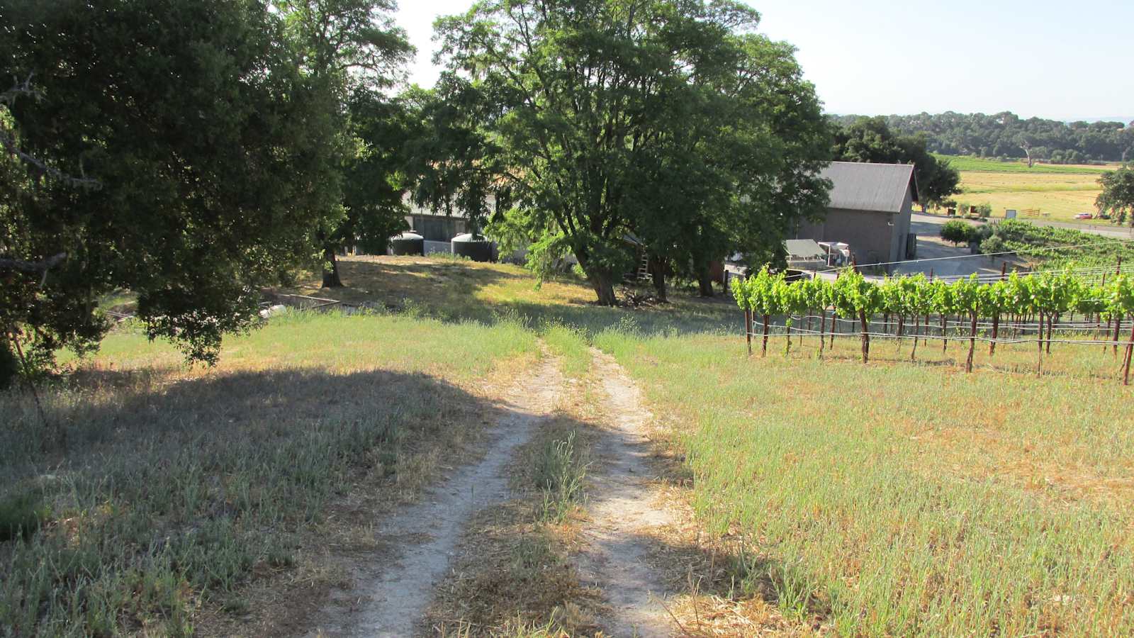 Dark Star Cellars - Paso Robles, California - glamping.directory