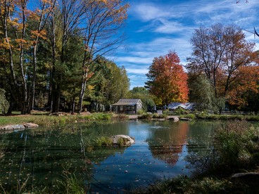 Cute Open-Plan Cottage for an Unforgettable Family Vacation in the Southern Catskill Mountains in Woodridge, New York - Woodridge, New York - glamping.directory