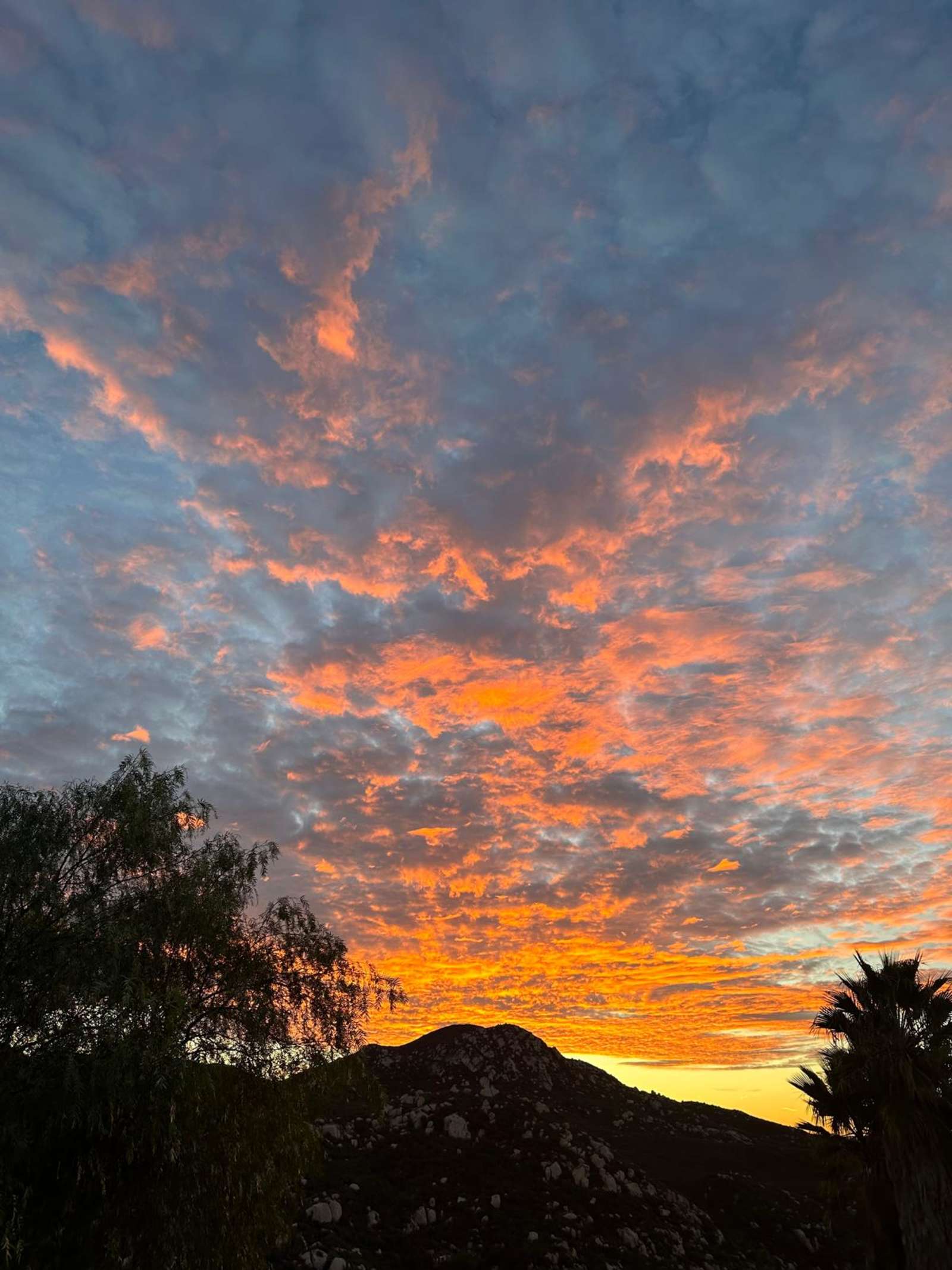 Highlander Ranch - Jamul, California - glamping.directory