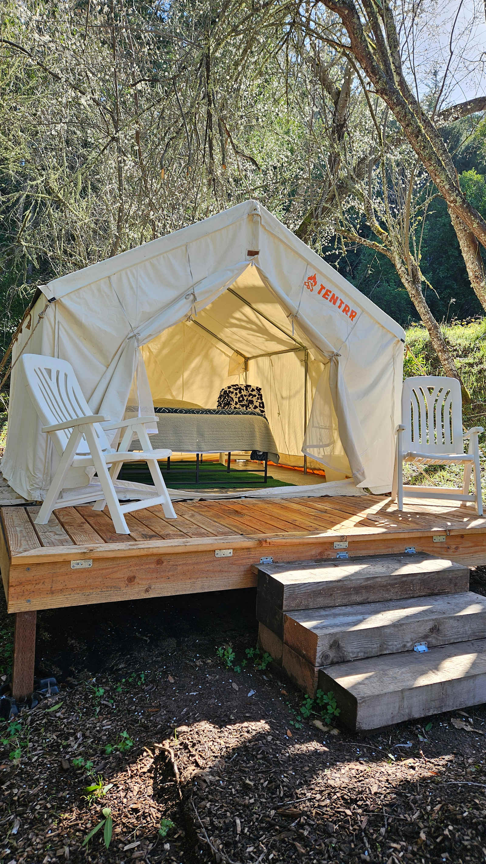 Santa Cruz Mountain Camping - Lexington Hills, California - glamping.directory