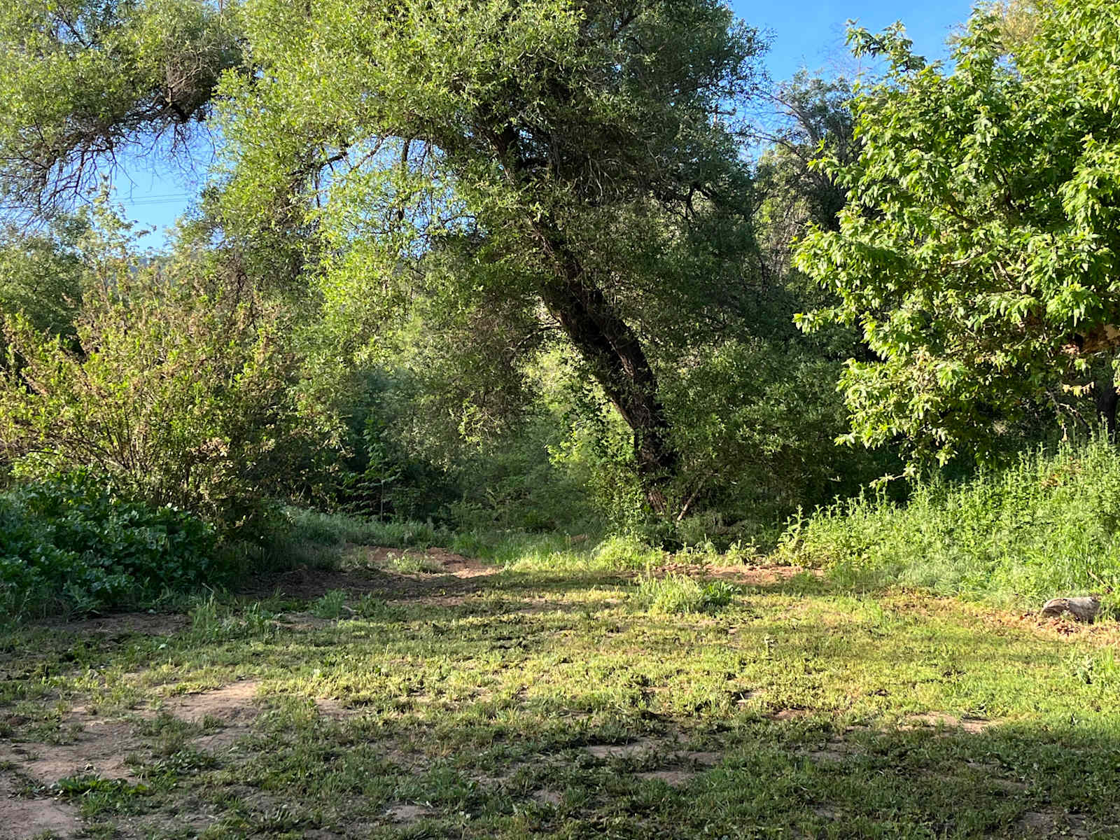 Rancho de Granville - Oak View, California - glamping.directory