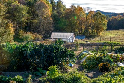 Cozy Cabin Getaway on Acres of Farmland near Green Mountain National Forest, Vermont - Wells, Vermont - glamping.directory