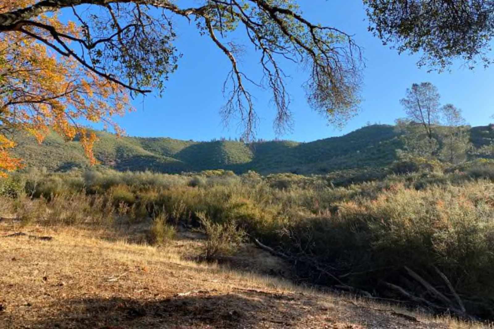 Heart valley ranch - Groveland, California - glamping.directory