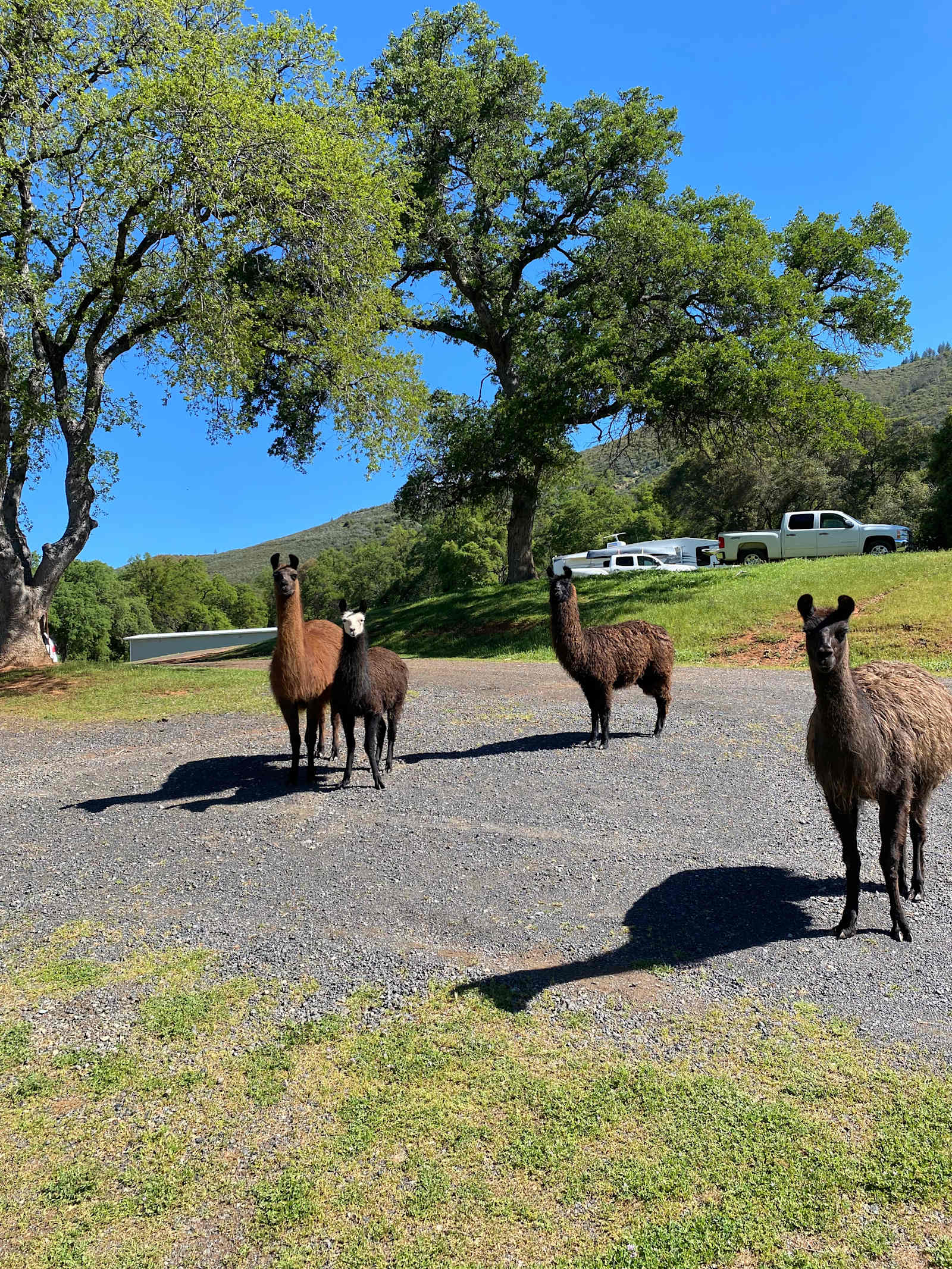 Heart valley ranch - glamping.directory