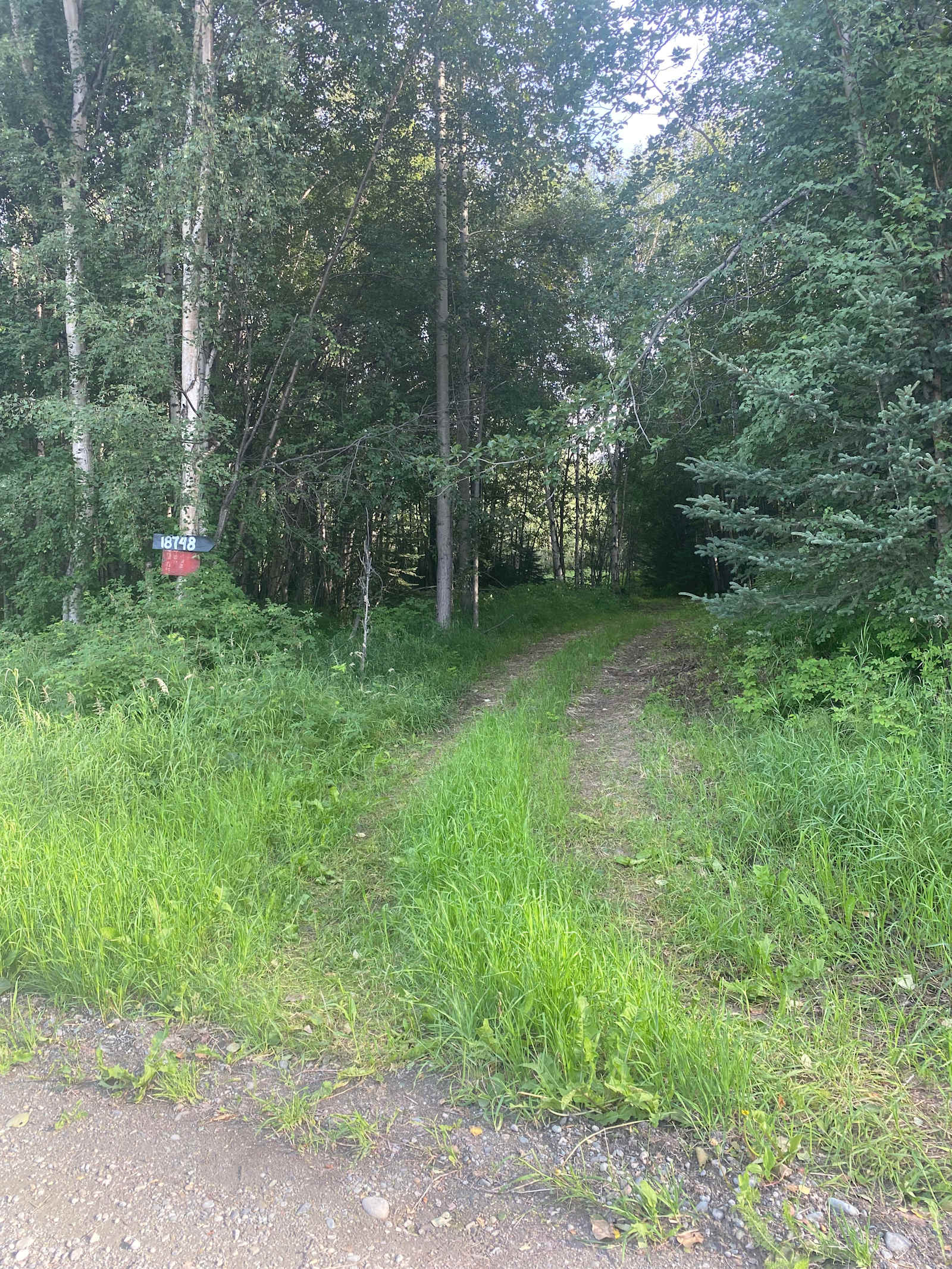 Jim Creek Blank Land - Palmer, Alaska - glamping.directory