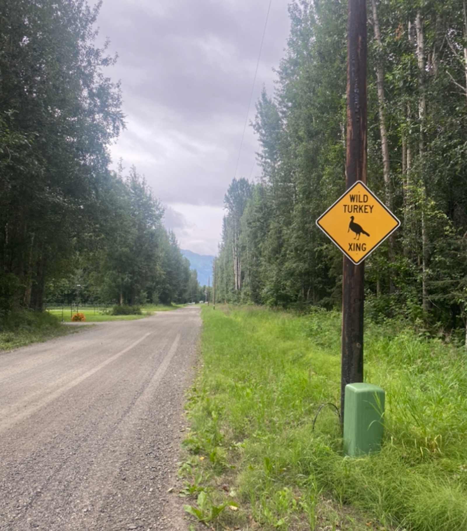 Jim Creek Blank Land - Palmer, Alaska - glamping.directory