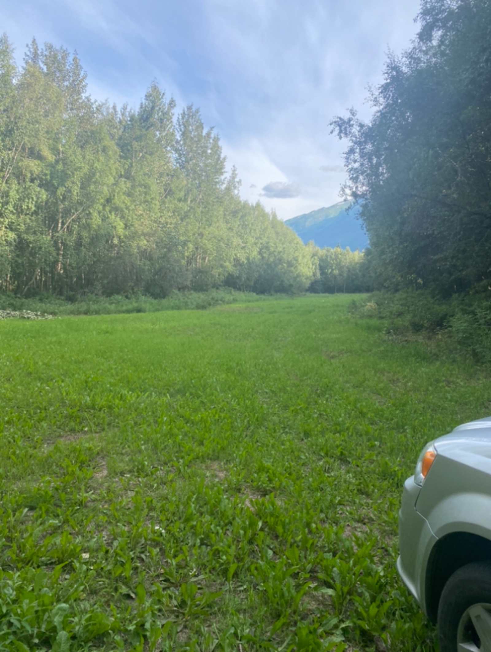 Jim Creek Blank Land - Palmer, Alaska - glamping.directory
