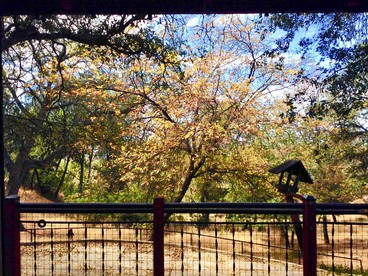 Spacious and Cozy Cabin Rental with Amazing Views in Julian, California - Julian, California - glamping.directory