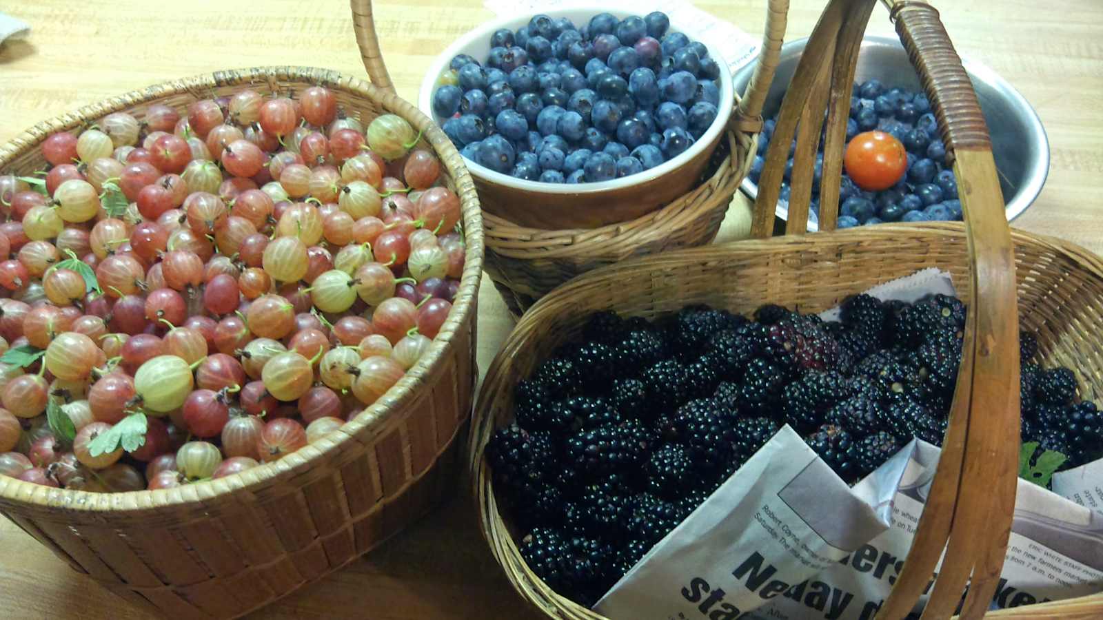 Summer Berry Farm - Marshall, Arkansas - glamping.directory