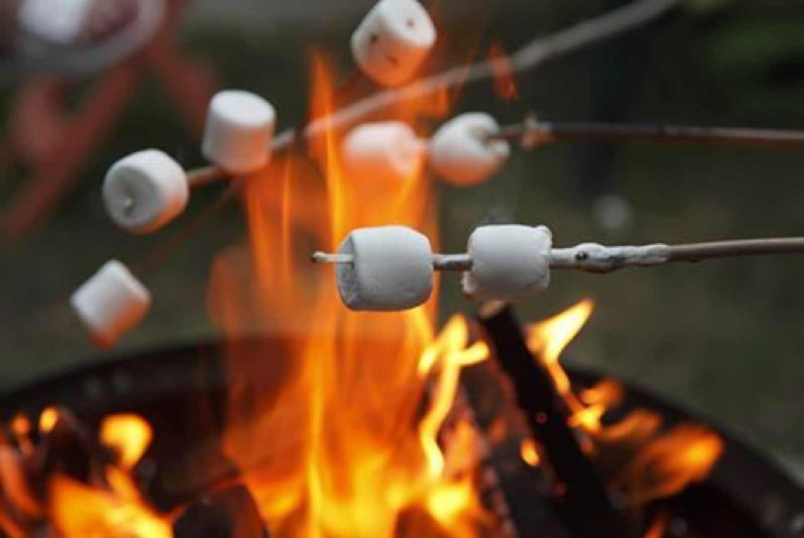 Barnyard Camping Experience - Hattieville, Arkansas - glamping.directory