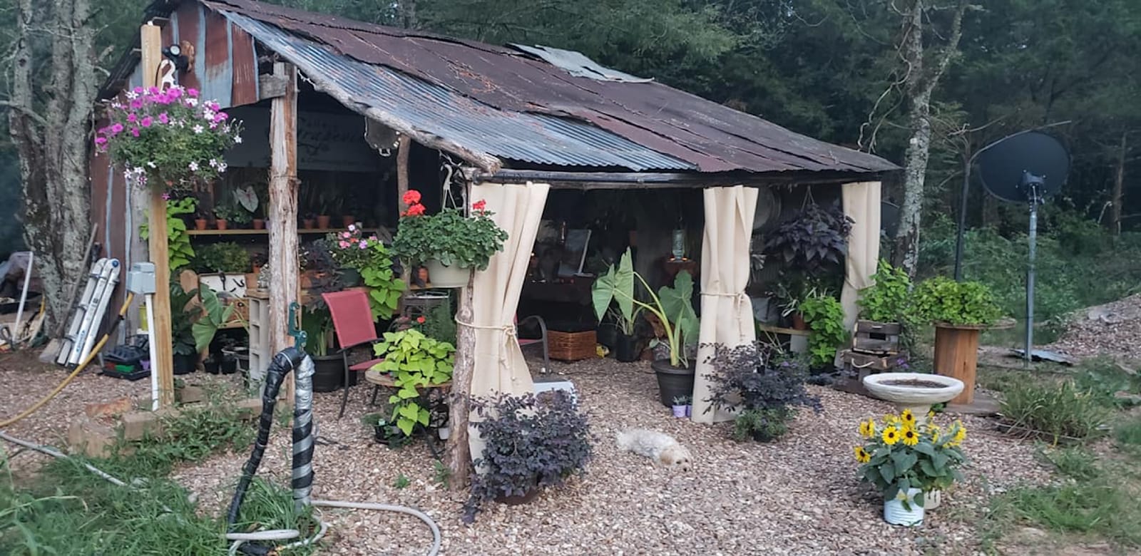 Barnyard Camping Experience - Hattieville, Arkansas - glamping.directory