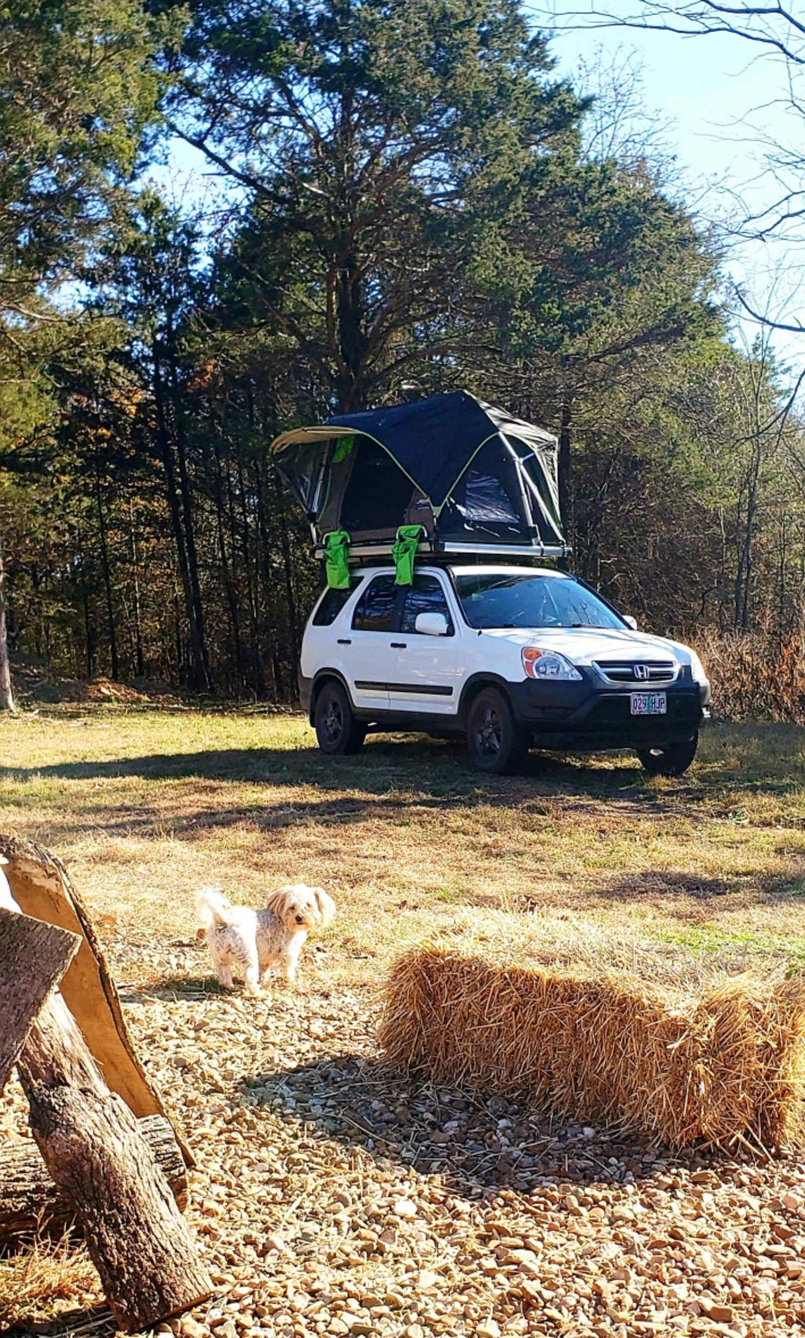 Barnyard Camping Experience - Hattieville, Arkansas - glamping.directory