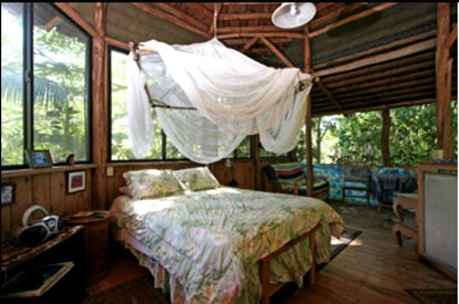 Unusual Cabin with 360-Degree Windows on the Big Island of Hawaii in Pahoa - Pahoa, Hawaii - glamping.directory