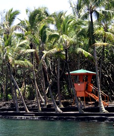 Unusual Cabin with 360-Degree Windows on the Big Island of Hawaii in Pahoa - Pahoa, Hawaii - glamping.directory