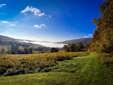 Charming Countryside Escape with Forest Trails & Cozy Comfort in Walton, New York - Walton, New York - glamping.directory