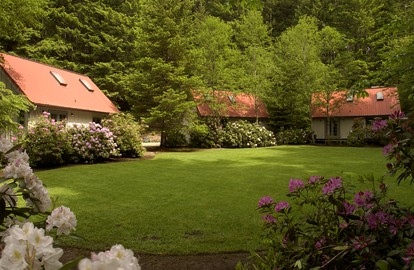 Fabulous Luminous Cottages Fully Equipped Perfect for Couples in Oregon - glamping.directory