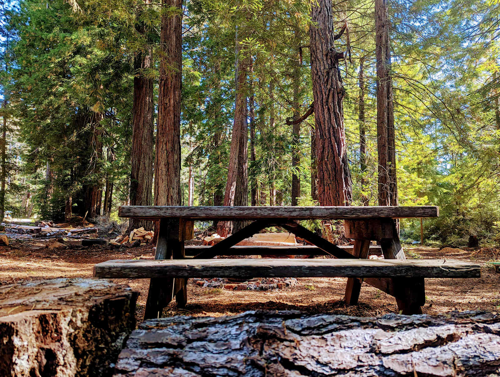 Root's End - glamping.directory