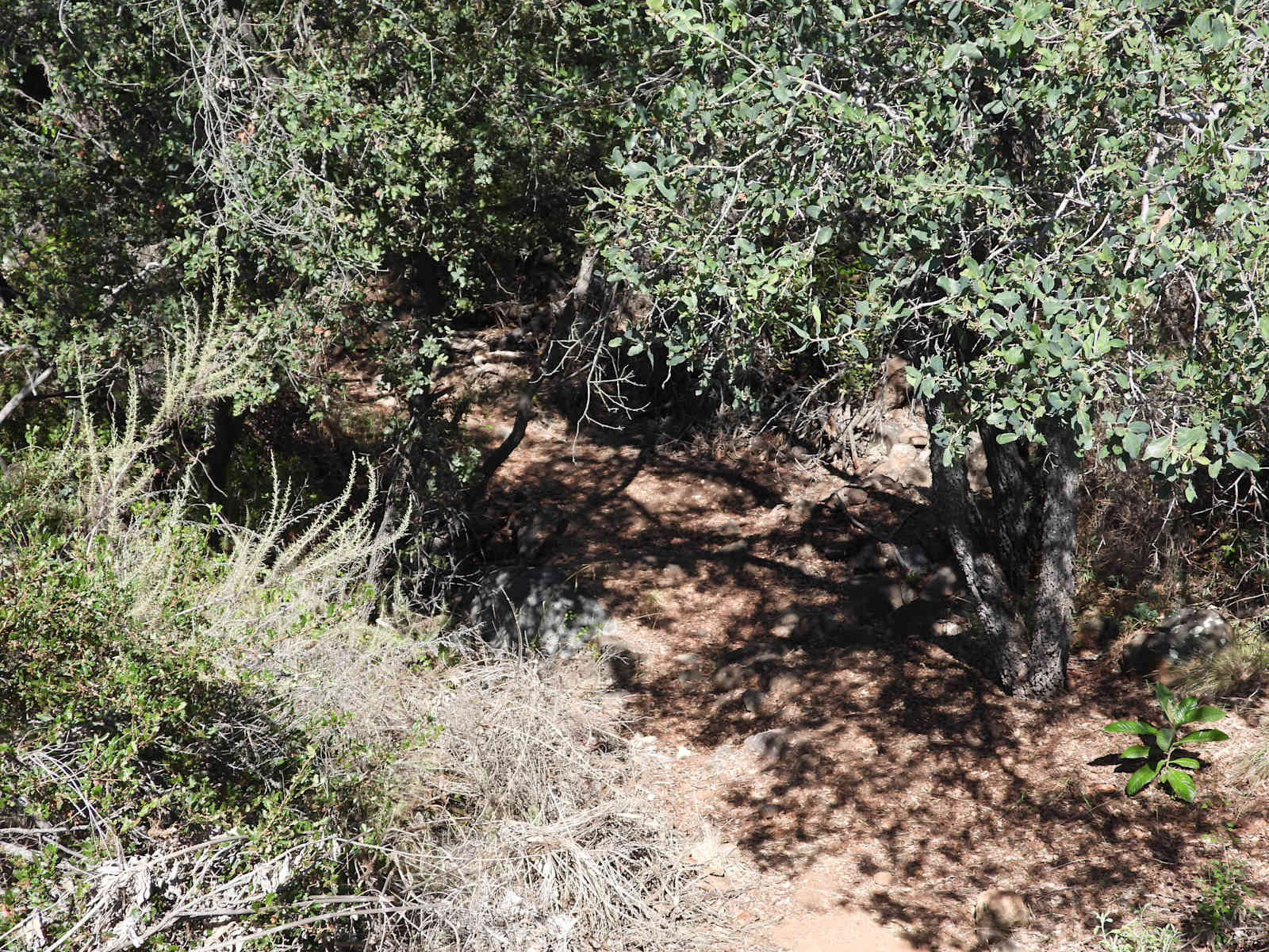 The Green Ravine & Trails in SoCal - Fallbrook, California - glamping.directory