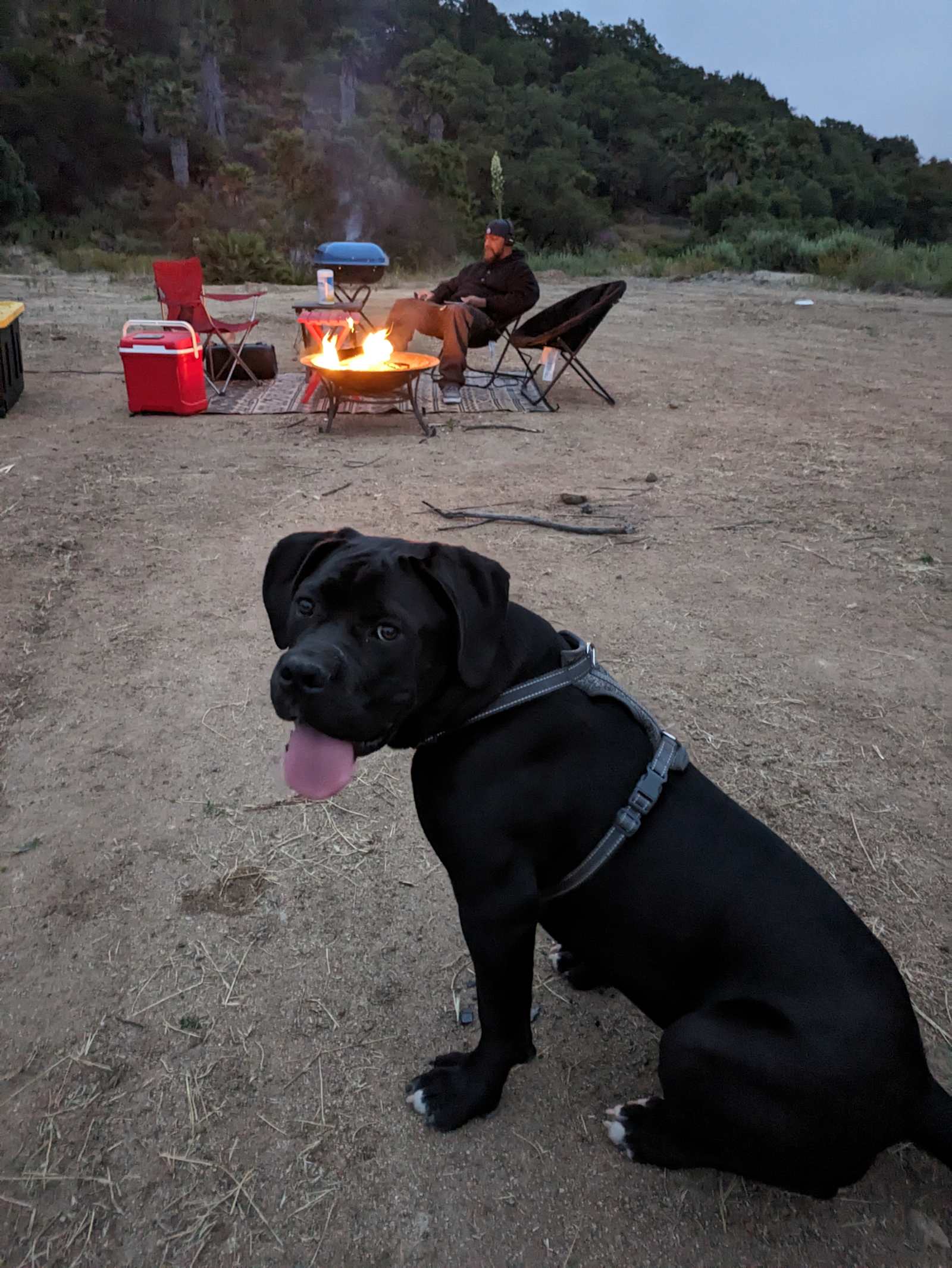 The Green Ravine & Trails in SoCal - Fallbrook, California - glamping.directory