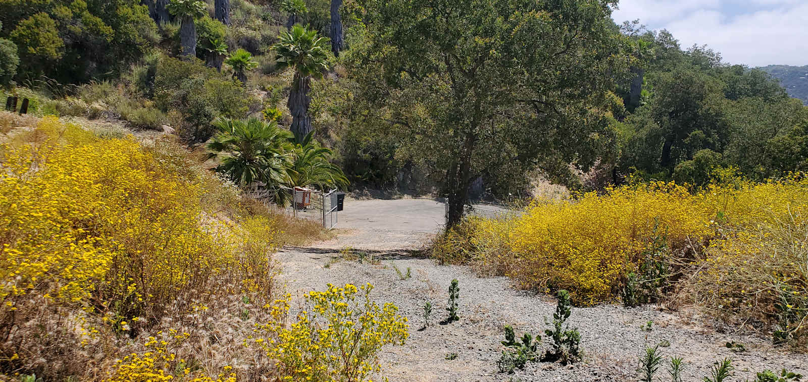 The Green Ravine & Trails in SoCal - Fallbrook, California - glamping.directory